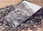 Japanese River Rocks