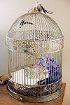 Decorative Birdcage Gift Card Holder
