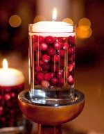 Glass Cylinder with fresh cranberries