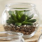 Bubble Bowl with pebbles and cactus