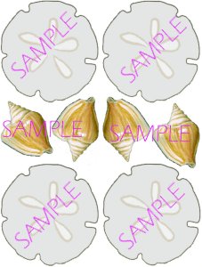 Sample - sheet of Sand Dollar Tags
