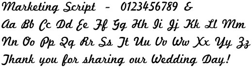 MARKETING SCRIPT